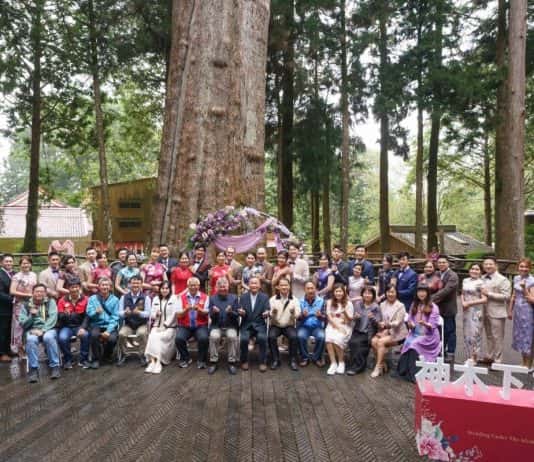 Độc đáo hôn lễ dưới tán cổ thụ 2000 tuổi trên núi A Lý Sơn