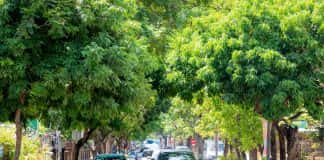 Người Hà Nội “khát” đô thị xanh, ủng hộ chính sách hạn chế phương tiện gây ô nhiễm