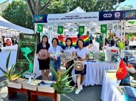 CCD TỔ CHỨC TRIỂN LÃM TRẠM HỌC XANH TRONG KHUÔN KHỔ SỰ KIỆN LỄ HỘI ÂM NHẠC – KẾT NỐI CỘNG ĐỒNG BRIDGE FEST 2024