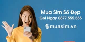 Cách chọn sim số đẹp máy bàn phù hợp cho từng ngành nghề