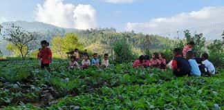 Trường học xanh kích thích học sinh sáng tạo