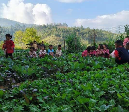 Trường học xanh kích thích học sinh sáng tạo