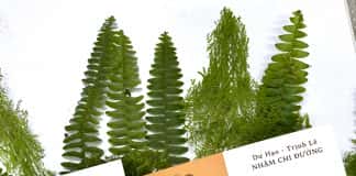 Sách mới: Y gian đạo – 10 chặng hành trình bước vào đại điện Đông y