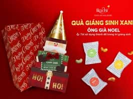 Ikachi ra mắt bộ sưu tập quà “Đón Giáng Sinh Xanh, Quà Xanh An Lành”
