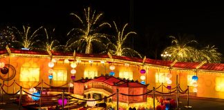 Những trải nghiệm lần đầu tiên trên thế giới tại Lễ hội đèn lồng quốc tế Ocean