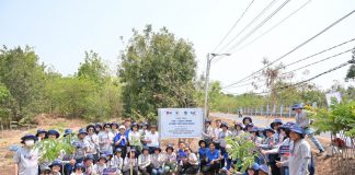 Hành trình 2024: TCP Việt Nam và dấu ấn vì cộng đồng