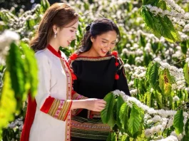 Nhiều hoạt động sáng tạo tại Lễ hội Cà phê Buôn Ma Thuột lần thứ 9