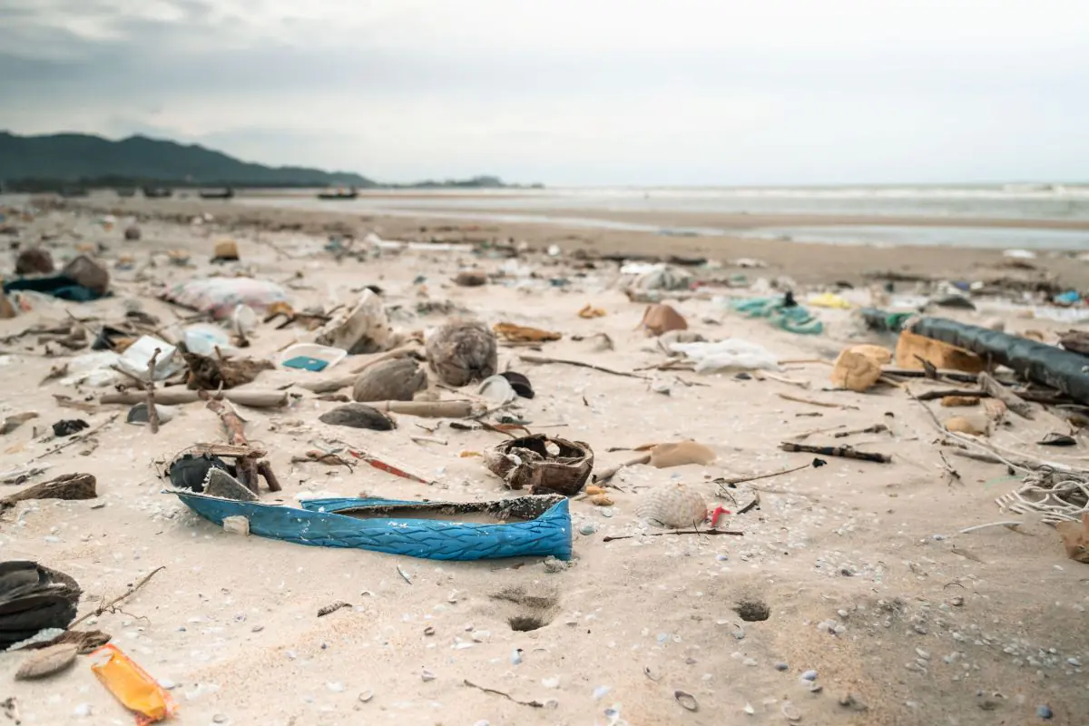 Phu nu hien dai the body shop 02