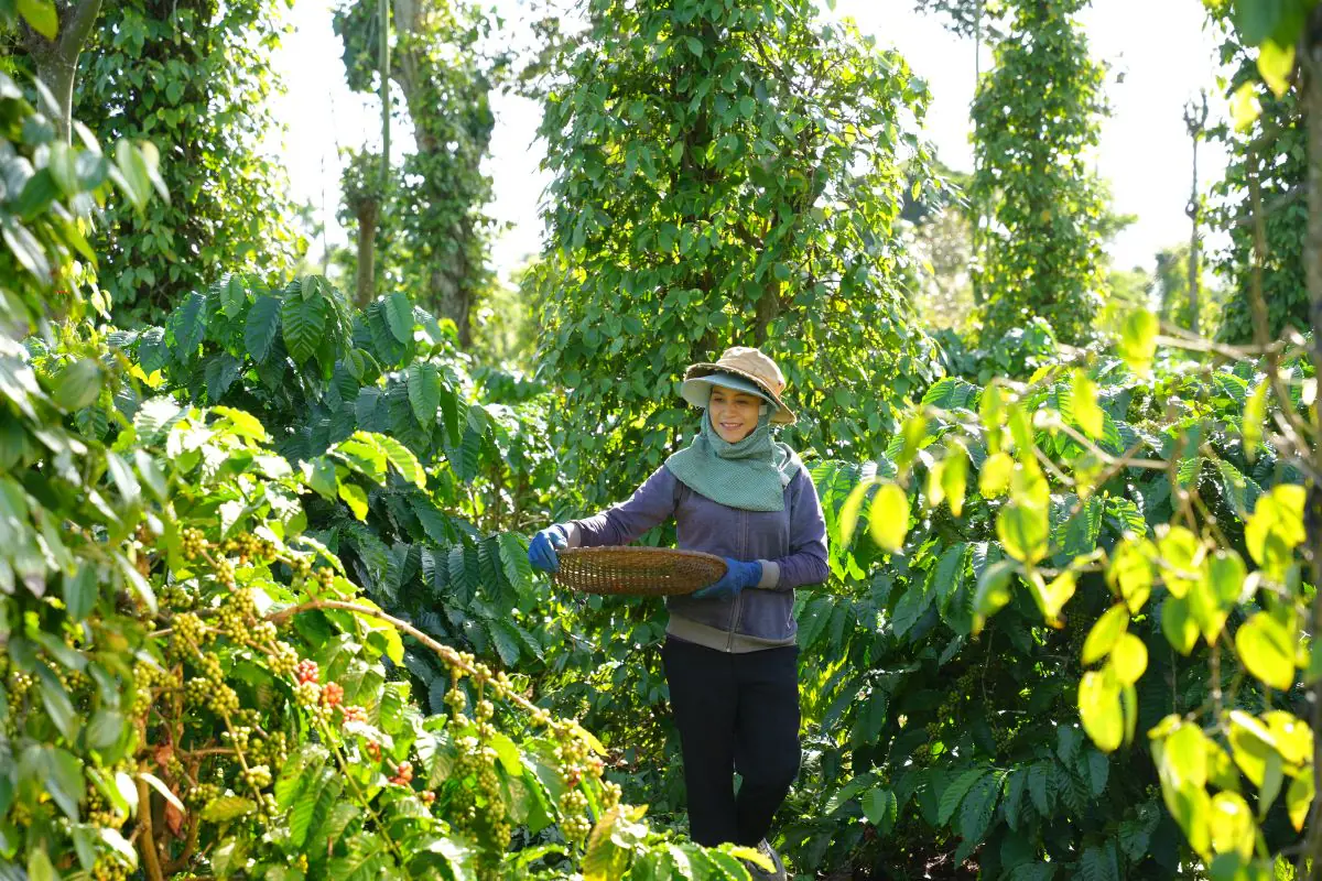 Phu nu hien dai canh tac ben vung nestle 01