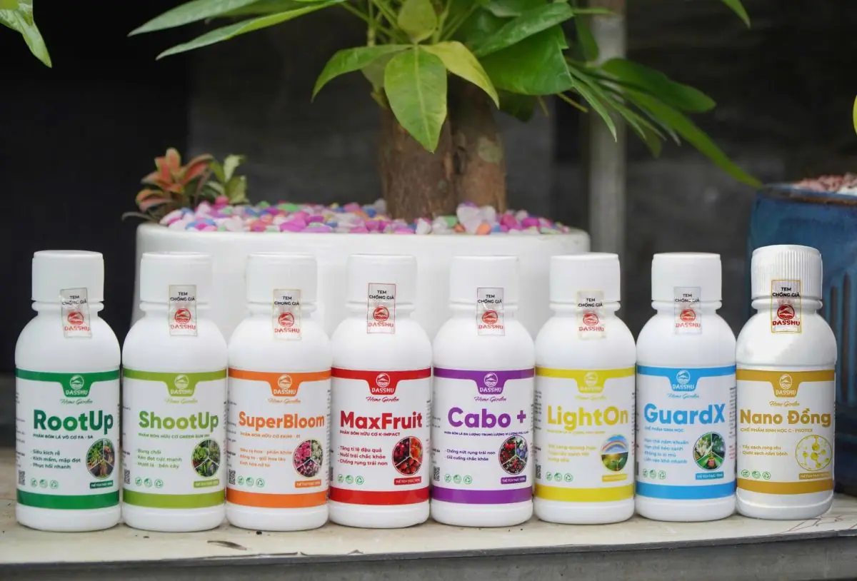 Phu nu hien dai phan bon DASSHU GARDEN 03