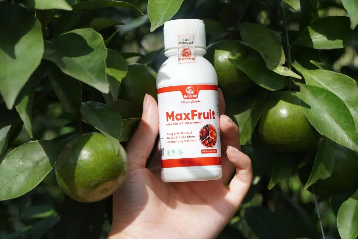 Phu nu hien dai phan bon DASSHU GARDEN 04