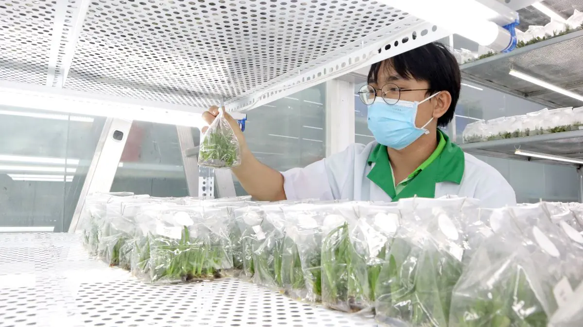 ‘Vua nha đam’ 3 lần liên tiếp nhận Giải thưởng Sao Đỏ 8 Phu nu hien dai vua nha dam 04