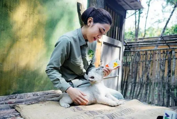 10 năm Vinpearl Safari Phú Quốc: Dấu ấn tiên phong của safari bán hoang dã đầu tiên tại Việt Nam 16 Phu nu hien dai Vinpearl Safari Phu Quoc 03