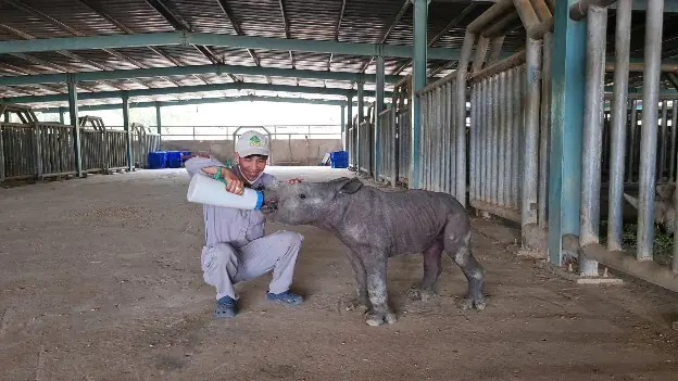 Phu nu hien dai Vinpearl Safari Phu Quoc 04