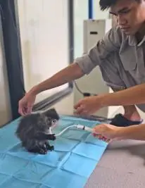 10 năm Vinpearl Safari Phú Quốc: Dấu ấn tiên phong của safari bán hoang dã đầu tiên tại Việt Nam 18 Phu nu hien dai Vinpearl Safari Phu Quoc 05