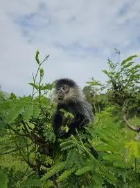 10 năm Vinpearl Safari Phú Quốc: Dấu ấn tiên phong của safari bán hoang dã đầu tiên tại Việt Nam 19 Phu nu hien dai Vinpearl Safari Phu Quoc 06