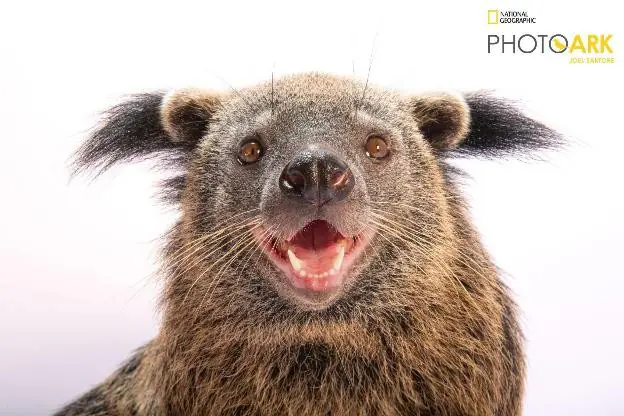 10 năm Vinpearl Safari Phú Quốc: Dấu ấn tiên phong của safari bán hoang dã đầu tiên tại Việt Nam 24 Phu nu hien dai Vinpearl Safari Phu Quoc 11