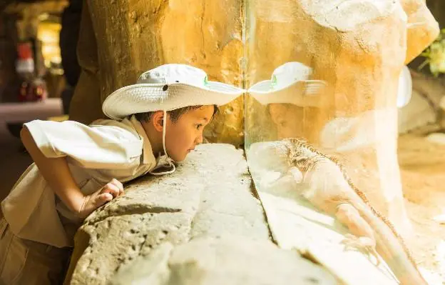 10 năm Vinpearl Safari Phú Quốc: Dấu ấn tiên phong của safari bán hoang dã đầu tiên tại Việt Nam 25 Phu nu hien dai Vinpearl Safari Phu Quoc 12