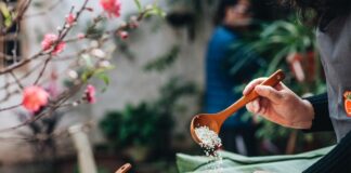 “TẾT AN NHIÊN BÊN BIỂN – TRỞ VỀ TRONG SỰ ĐỦ ĐẦY” TẠI KHÁCH SẠN FLEUR DE LYS QUY NHƠN