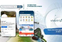 Vivatrip.vn: Nền tảng đặt phòng và tour, nhấn mạnh trải nghiệm cá nhân hóa