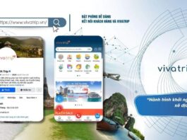 Vivatrip.vn: Nền tảng đặt phòng và tour, nhấn mạnh trải nghiệm cá nhân hóa