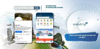 Vivatrip.vn: Nền tảng đặt phòng và tour, nhấn mạnh trải nghiệm cá nhân hóa