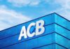 ACB bước vào năm Ngựa: Phi nước đại là bản năng, nhưng giữ được nhịp bền bỉ mới là bản lĩnh của những tổ chức đi đường dài