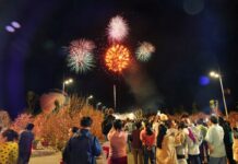 Cần Giờ đón Tết sớm: Hơn 10.000 du khách đổ về khai hội Green Paradise Tet Fest