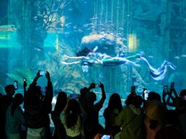 Hòn Tre bùng nổ mùa Tết với bộ ba siêu phẩm giải trí chưa từng có