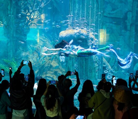 Hòn Tre bùng nổ mùa Tết với bộ ba siêu phẩm giải trí chưa từng có