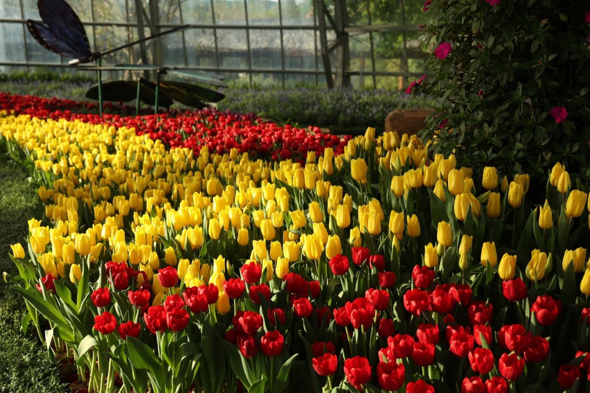 Hòn Tre bùng nổ mùa Tết với bộ ba siêu phẩm giải trí chưa từng có 5 Phu nu hien dai VinWonders Nha Trang 05