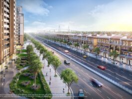 Trăm nghe không bằng một thấy, Việt kiều bay về Cần Giờ du xuân và “chốt” luôn giao dịch