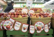 Táo Cosmic Crisp® – giống táo cao cấp từ Mỹ sẵn sàng “ghi điểm” với người tiêu dùng Việt trong mùa vụ mới