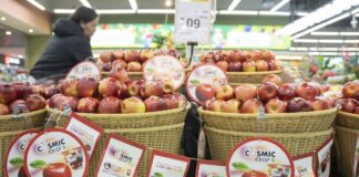 Táo Cosmic Crisp® – giống táo cao cấp từ Mỹ sẵn sàng “ghi điểm” với người tiêu dùng Việt trong mùa vụ mới