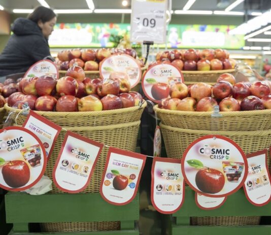 Táo Cosmic Crisp® – giống táo cao cấp từ Mỹ sẵn sàng “ghi điểm” với người tiêu dùng Việt trong mùa vụ mới