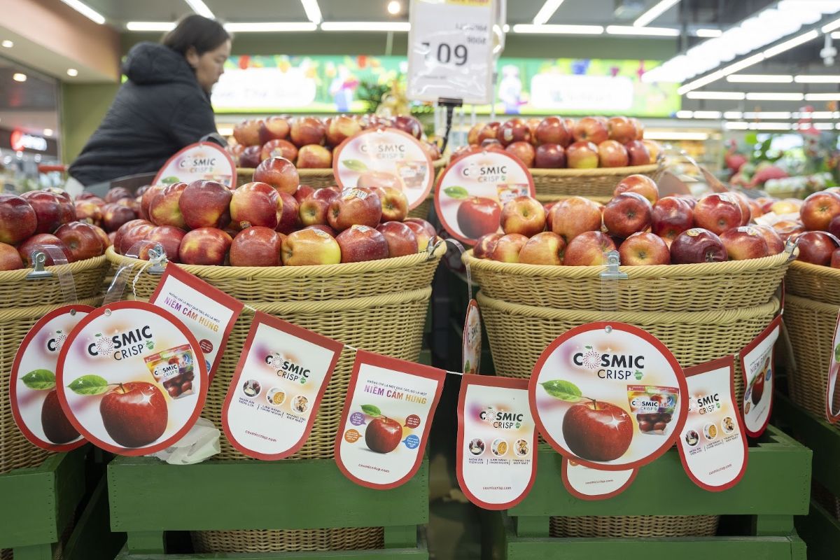 Táo Cosmic Crisp® – giống táo cao cấp từ Mỹ sẵn sàng “ghi điểm” với người tiêu dùng Việt trong mùa vụ mới 3 Phu nu hien dai tao cosmis scrip 03