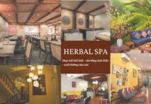 Herbal Spa: Hành trình lan tỏa sự tinh tế và tử tế trong nghệ thuật chăm sóc sức khỏe