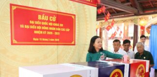 Hàng triệu cử tri TPHCM nô nức đi bầu cử sáng 15/3