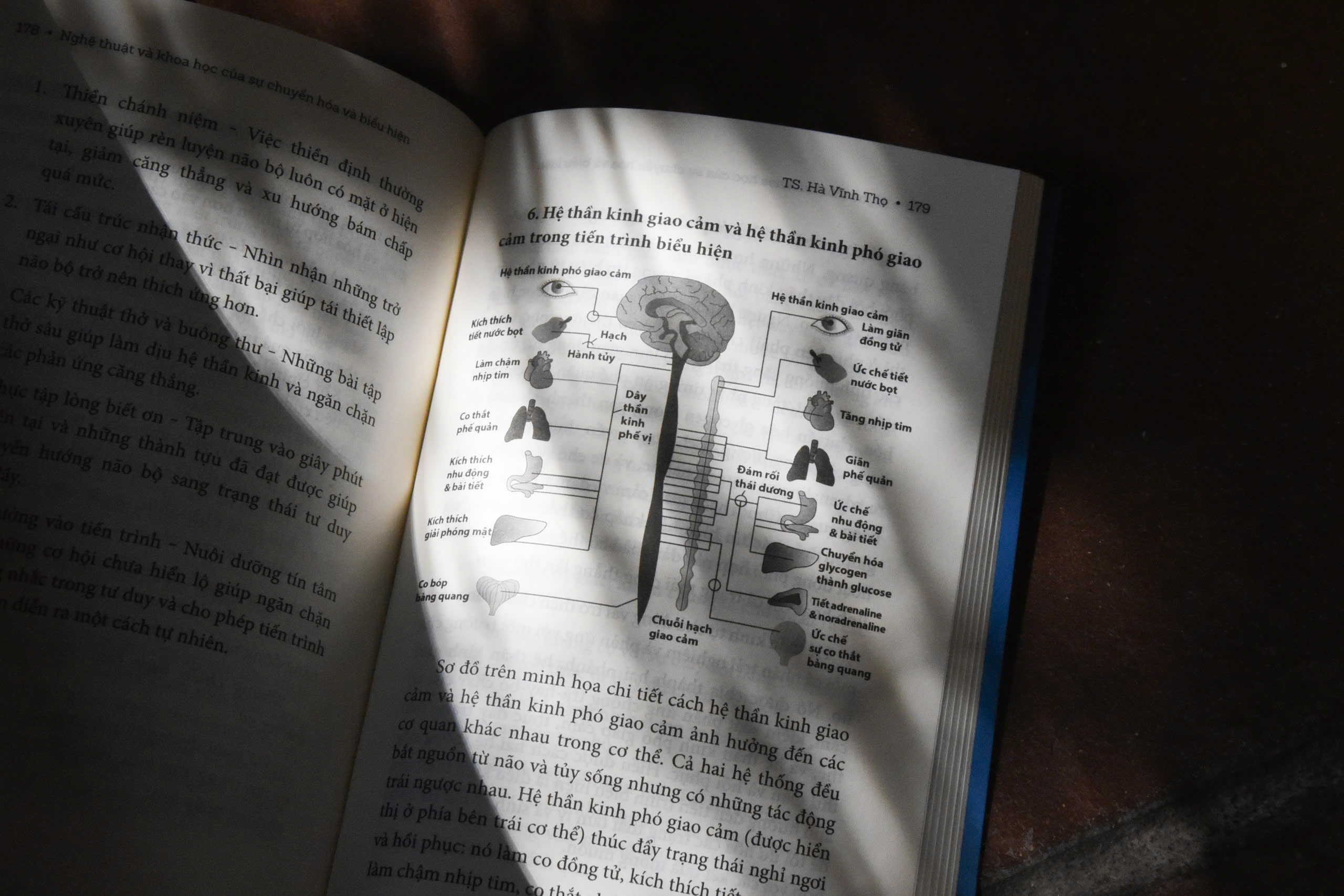 z7667177117469 28f2656dfdd6dd03949c38e67b6e4e3e