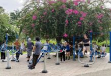 Xanh đô thị, mát tinh thần (*): Mở rộng mảng xanh TPHCM vì cuộc sống người dân