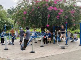 Xanh đô thị, mát tinh thần (*): Mở rộng mảng xanh TPHCM vì cuộc sống người dân