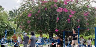 Xanh đô thị, mát tinh thần (*): Mở rộng mảng xanh TPHCM vì cuộc sống người dân