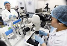 TP Hồ Chí Minh – trung tâm khoa học công nghệ, đổi mới sáng tạo – Bài cuối: Nâng cao tiềm lực