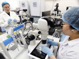 TP Hồ Chí Minh – trung tâm khoa học công nghệ, đổi mới sáng tạo – Bài cuối: Nâng cao tiềm lực