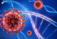 Không chủ quan với biến thể mới của Covid-19