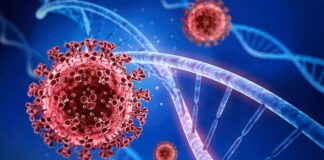 Không chủ quan với biến thể mới của Covid-19