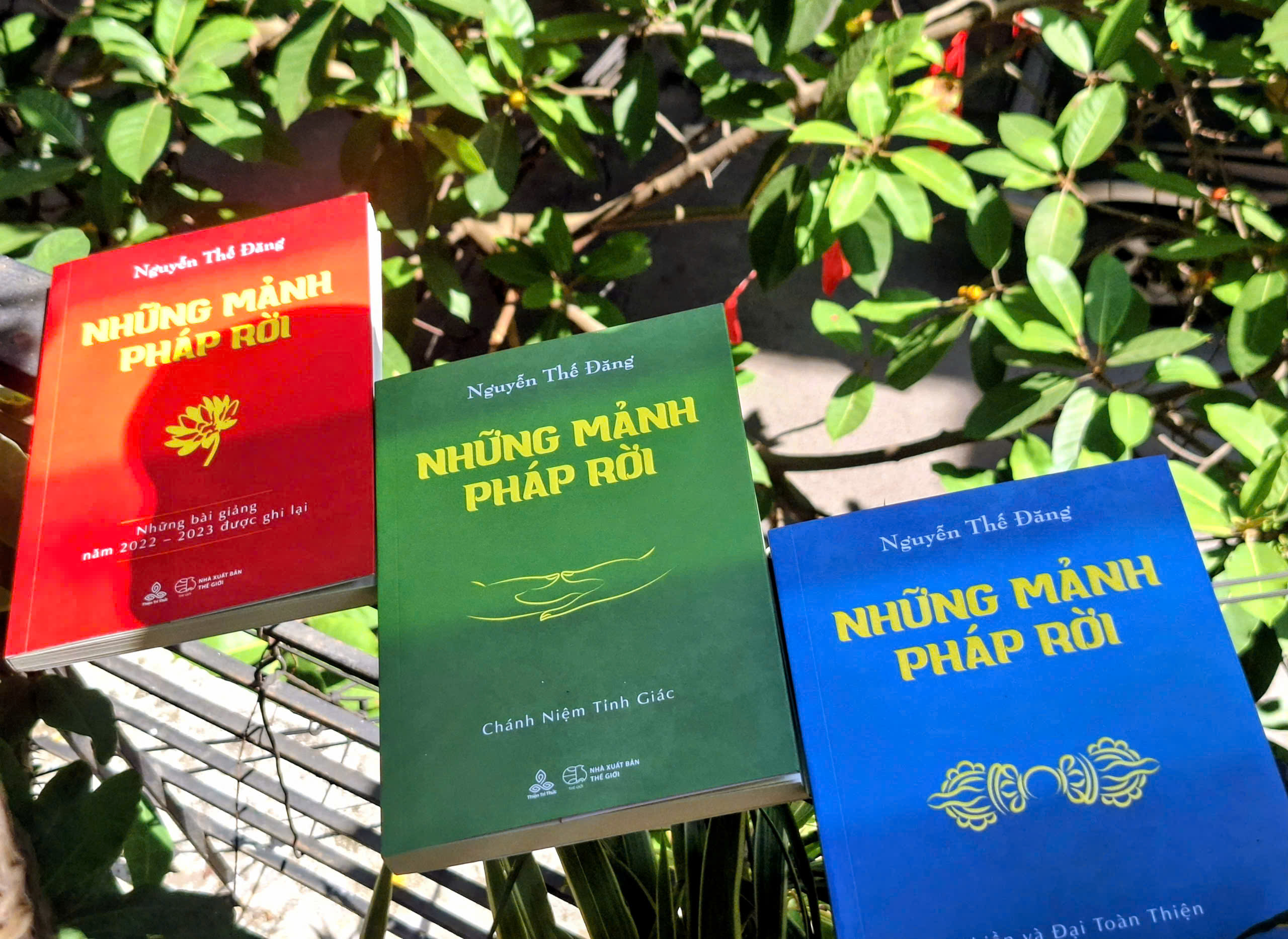 Thiện Tri Thức ra sách mới: "Những Mảnh Pháp Rời" của đương đạo Nguyễn Thế Đăng 4 2 2