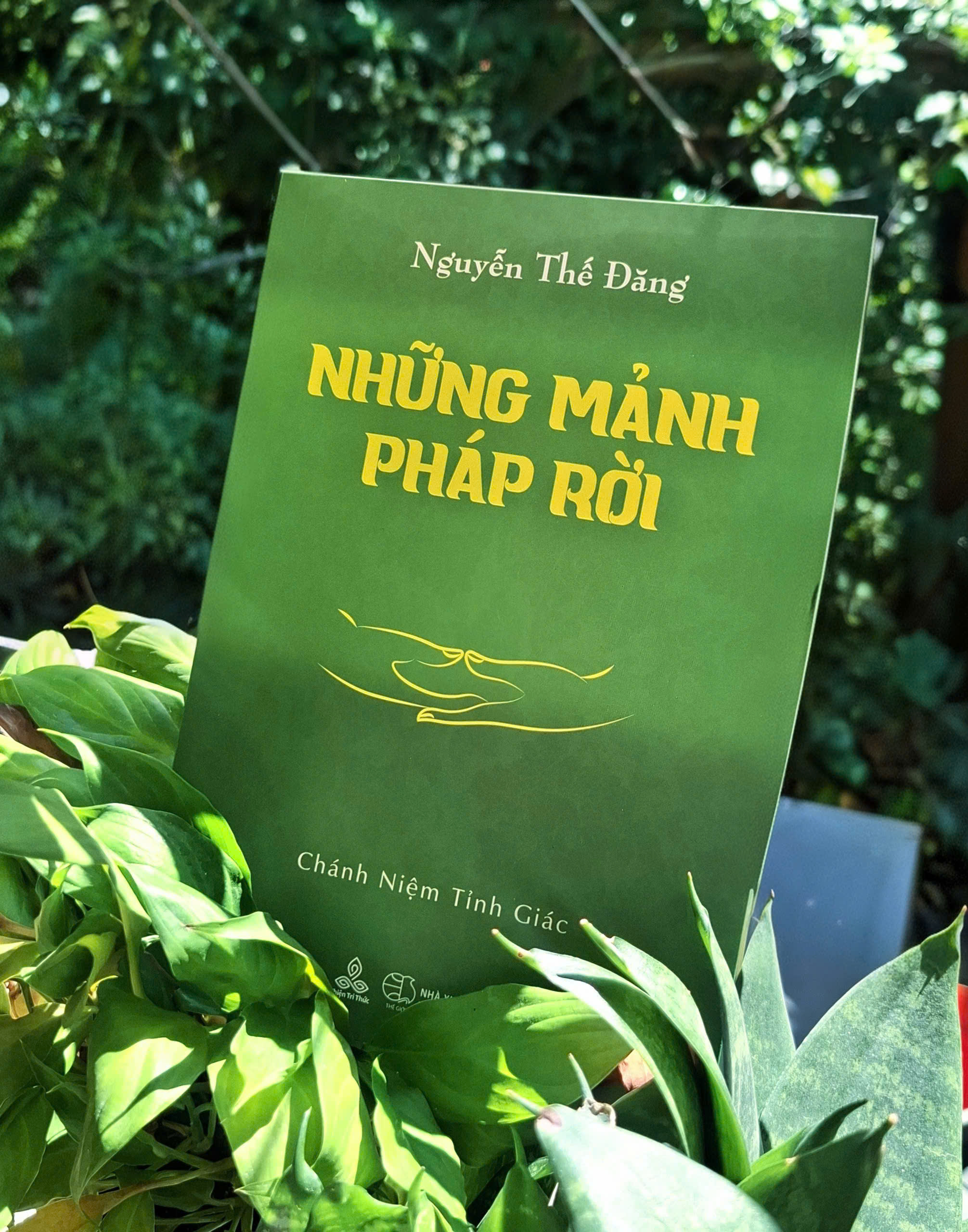 Thiện Tri Thức ra sách mới: "Những Mảnh Pháp Rời" của đương đạo Nguyễn Thế Đăng 3 5