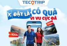 Tecotrip “số hóa” trải nghiệm du lịch Đà Nẵng: Từ tour khám phá đến vé tham quan – vui chơi chỉ trong một chạm