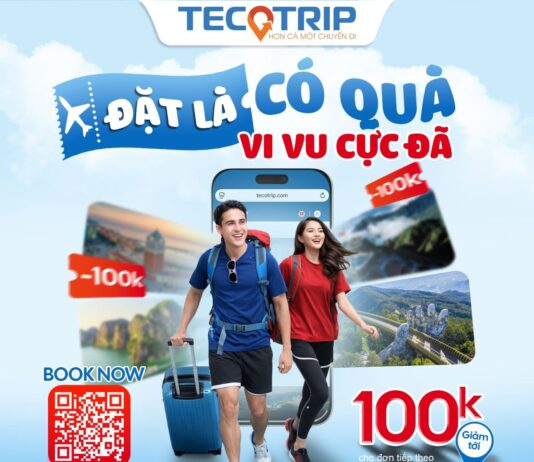 Tecotrip “số hóa” trải nghiệm du lịch Đà Nẵng: Từ tour khám phá đến vé tham quan – vui chơi chỉ trong một chạm